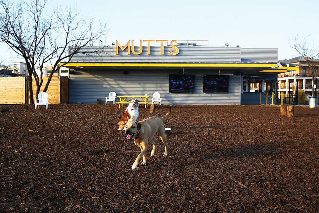 mutts dog park