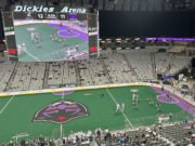 Panther City Lacrosse Club plays Calgary